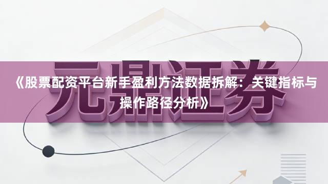 《股票配资平台新手盈利方法数据拆解：关键指标与操作路径分析》