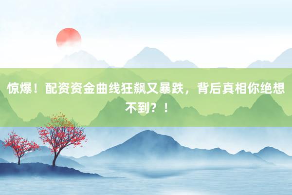 惊爆！配资资金曲线狂飙又暴跌，背后真相你绝想不到？！