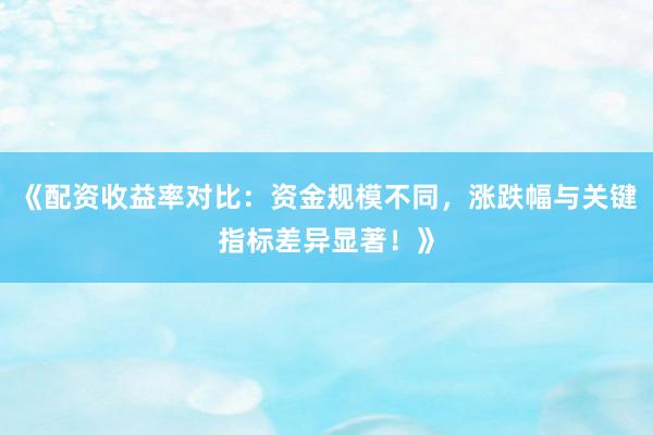 《配资收益率对比：资金规模不同，涨跌幅与关键指标差异显著！》