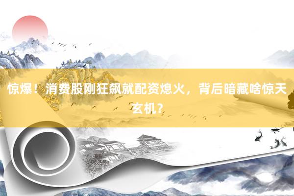 惊爆！消费股刚狂飙就配资熄火，背后暗藏啥惊天玄机？
