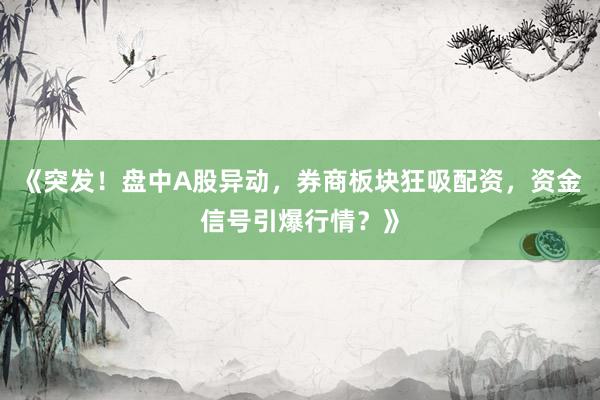 《突发！盘中A股异动，券商板块狂吸配资，资金信号引爆行情？》