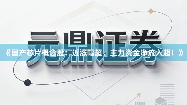 《国产芯片概念股：近涨幅超，主力资金净流入超！》