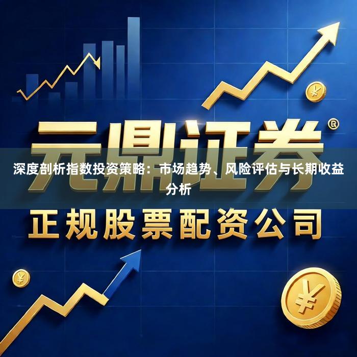 深度剖析指数投资策略：市场趋势、风险评估与长期收益分析