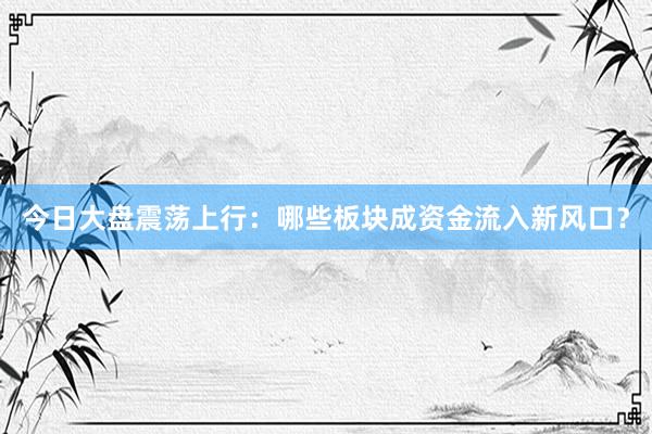 今日大盘震荡上行：哪些板块成资金流入新风口？