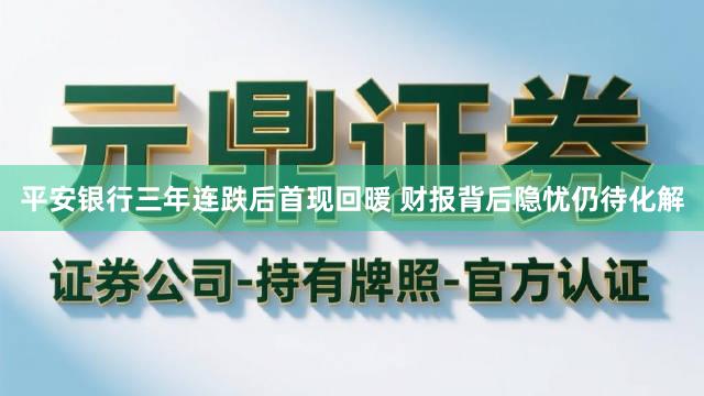 平安银行三年连跌后首现回暖 财报背后隐忧仍待化解