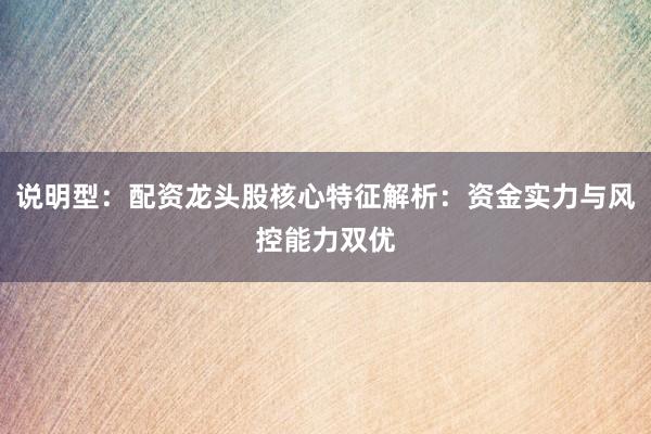 说明型：配资龙头股核心特征解析：资金实力与风控能力双优
