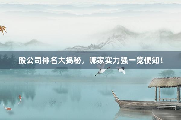股公司排名大揭秘，哪家实力强一览便知！