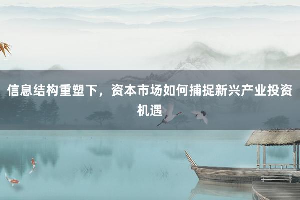 信息结构重塑下,资本市场如何捕捉新兴产业投资机遇
