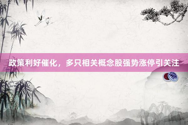 政策利好催化，多只相关概念股强势涨停引关注