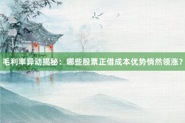 毛利率异动揭秘：哪些股票正借成本优势悄然领涨？