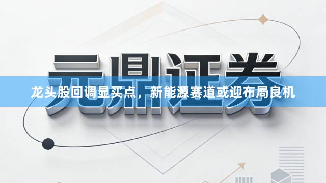 龙头股回调显买点，新能源赛道或迎布局良机