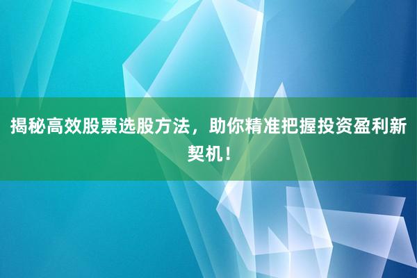 揭秘高效股票选股方法，助你精准把握投资盈利新契机！