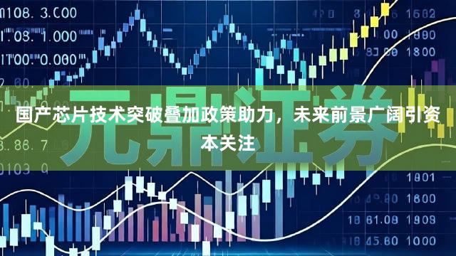 国产芯片技术突破叠加政策助力，未来前景广阔引资本关注