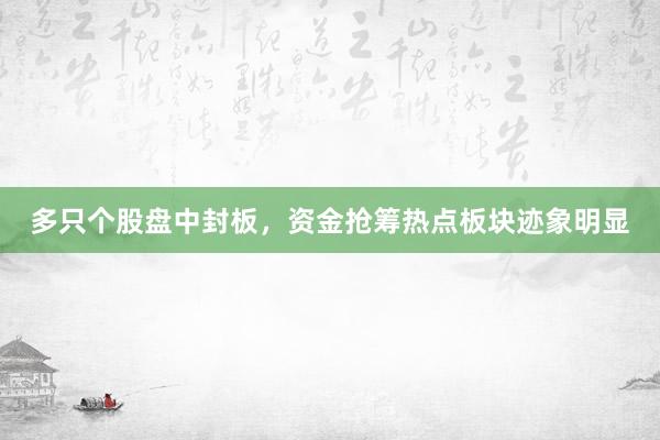 多只个股盘中封板，资金抢筹热点板块迹象明显