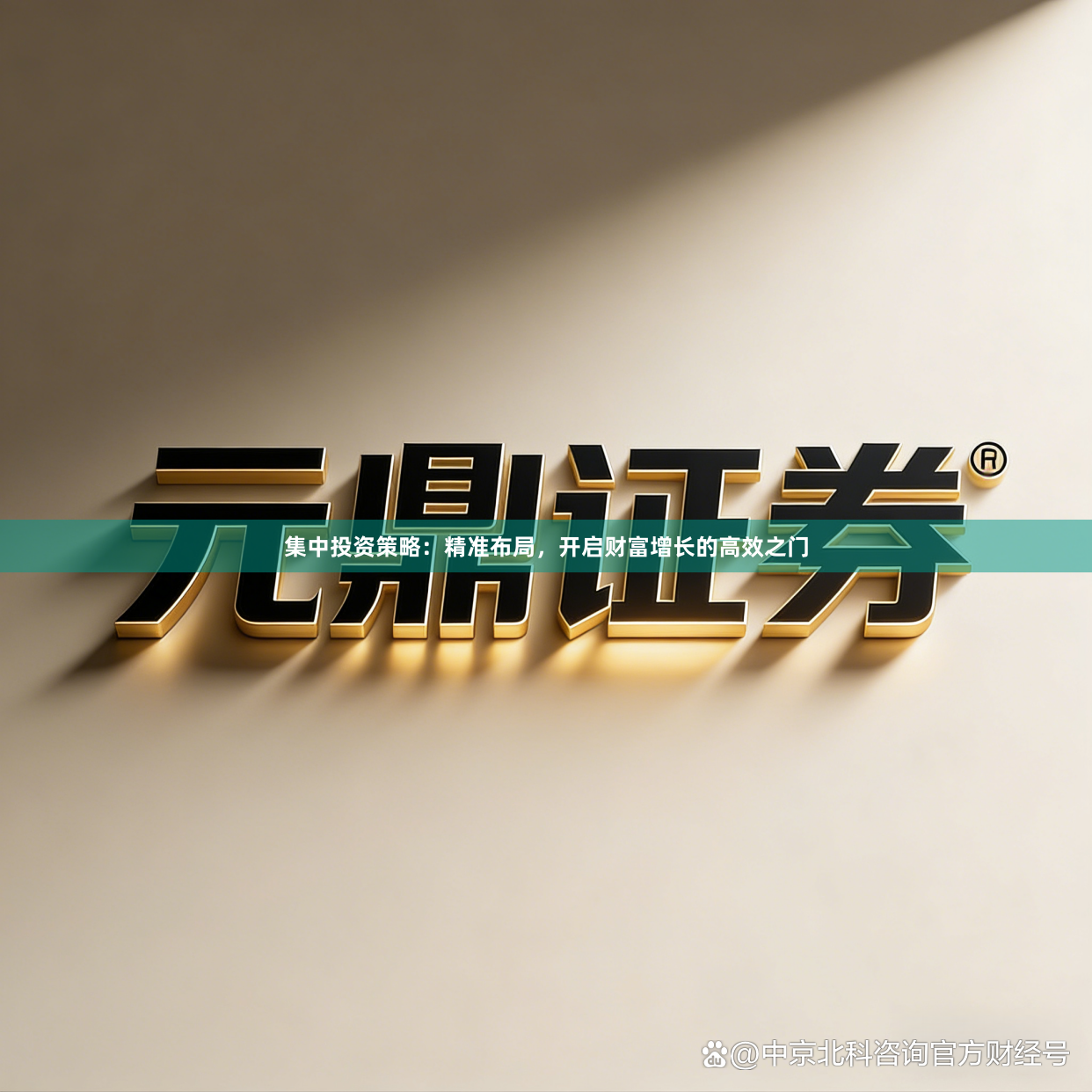集中投资策略：精准布局，开启财富增长的高效之门