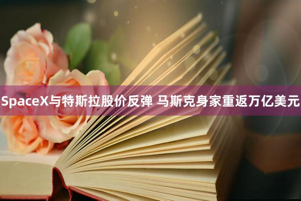 SpaceX与特斯拉股价反弹 马斯克身家重返万亿美元